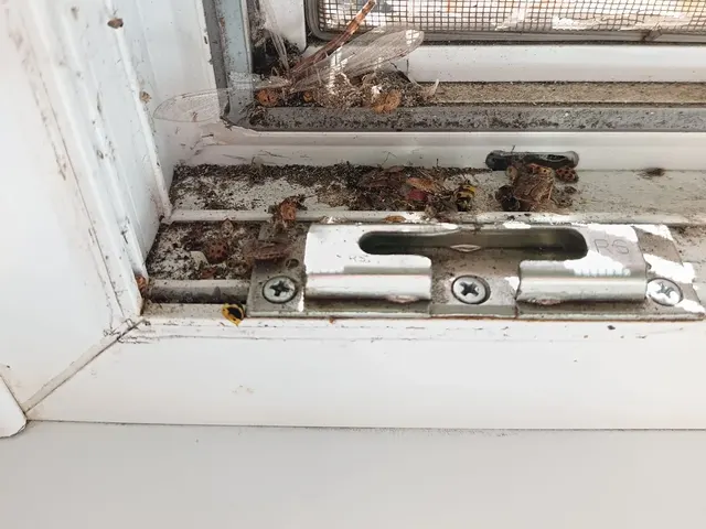 Detail znečisteného spodného rámu okna so stavebným prachom a zvyškami pred čistením